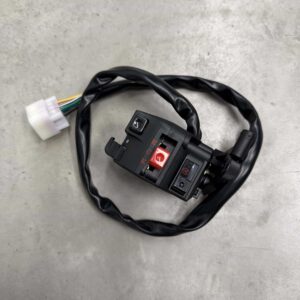 multi-functional switch